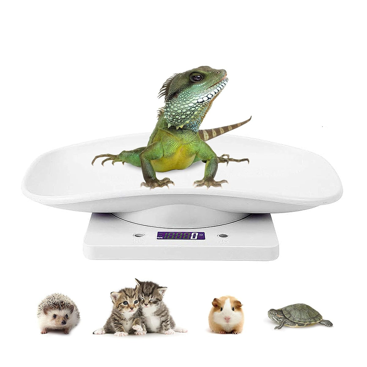 Digital Pet Scale LCD Electronic Weighing Scale, Kitchen Food Scale,Mini Precision Grams Weight Balance Scale with High Precision G/Ml/Oz/Lb for Dog/Cat/ Hamster/Tortoise/ Lizard Small Animals
