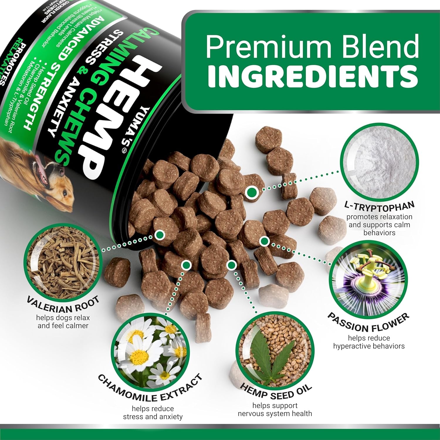 Hemp Calming Chews for Dogs - Advanced Dog Calming Chews - 170 Chews - Anxiety Relief Treats - Separation Aid, Barking, Stress Relief, Thunderstorms - Melatonin - Hemp Oil - Made in USA
