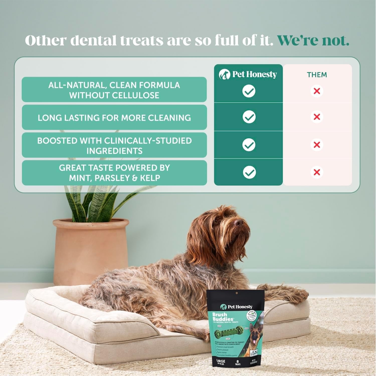 Pet Honesty Brush Buddies All Natural Dog Dental Treats for Dogs – Long Lasting Dental Sticks for Dogs, Teeth Cleaner, Breath Freshener, Plaque & Tartar Remover – Large Sized Dogs (8 Count)