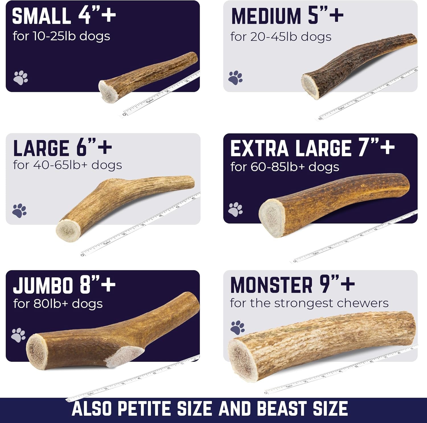 Devil Dog Pet Co. Elk Antlers for Dogs, Natural Dog Chew for Aggressive Chewers - Long Lasting and Odor Free - USA Sourced - Cleaner Teeth, Anxiety & Boredom Relief - Whole Medium 5"+ - Antler Bone