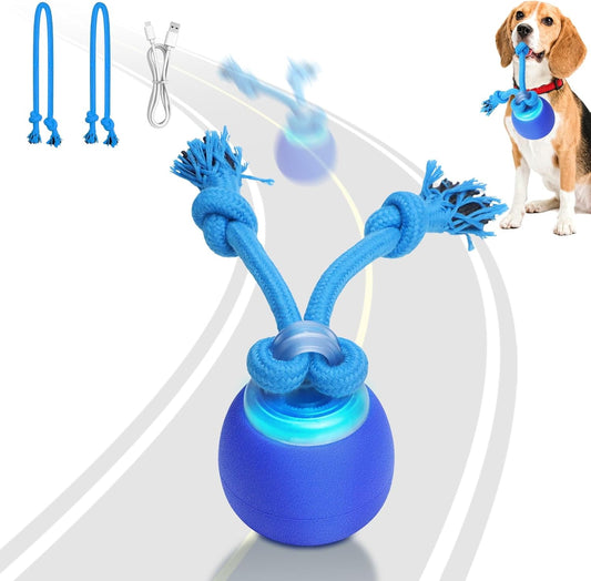 Saolife Interactive Dog Toys, Squeaky Dog Toy Active Rolling Ball for Puppy