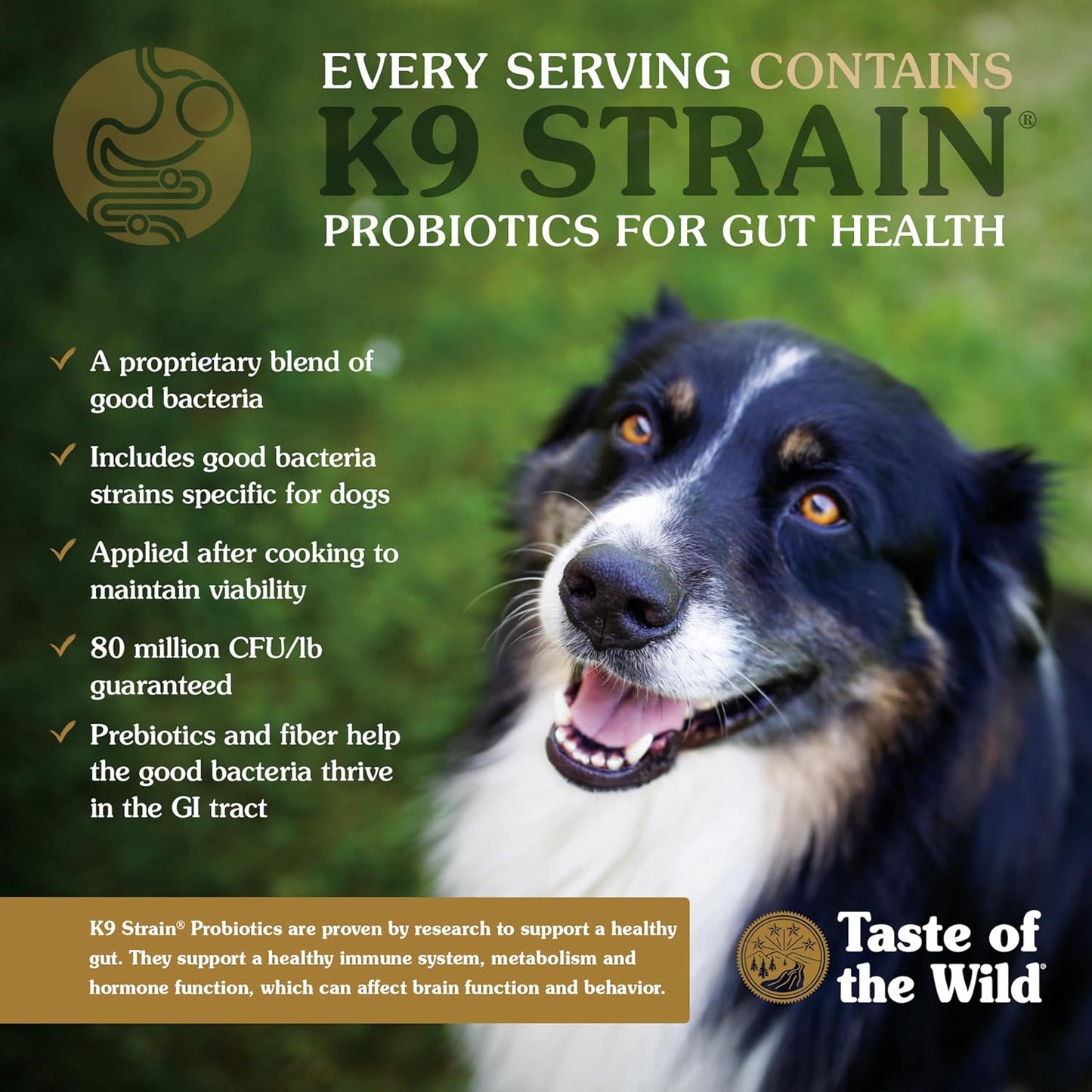 Taste of the Wild High Prairie Canine Grain-Free Recipe with Roasted Bison and Venison Adult Dry Dog Food, Made with High Protein from Real Meat and Guaranteed Nutrients and Probiotics 28Lb