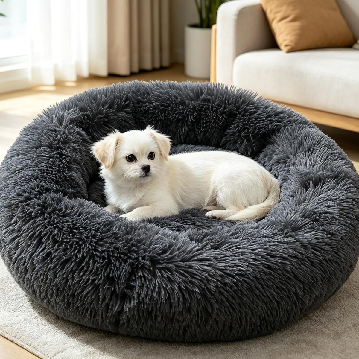 Donut Cat Bed, Calming Dog Beds for Small Dogs & Indoor Cats, Dark Dray