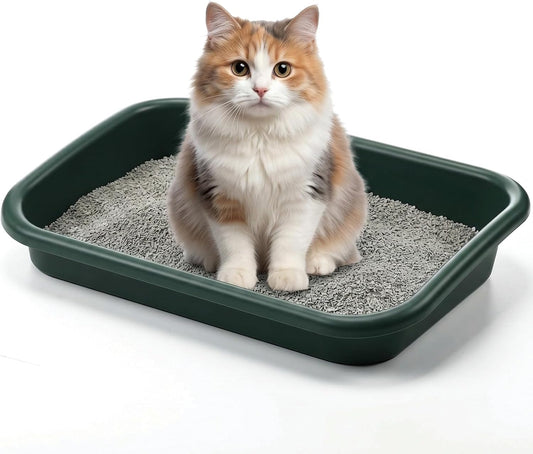 Uiifan Low Entry Cat Litter Box, Dark Green, 16.9 X 12 X 3.15 Inch