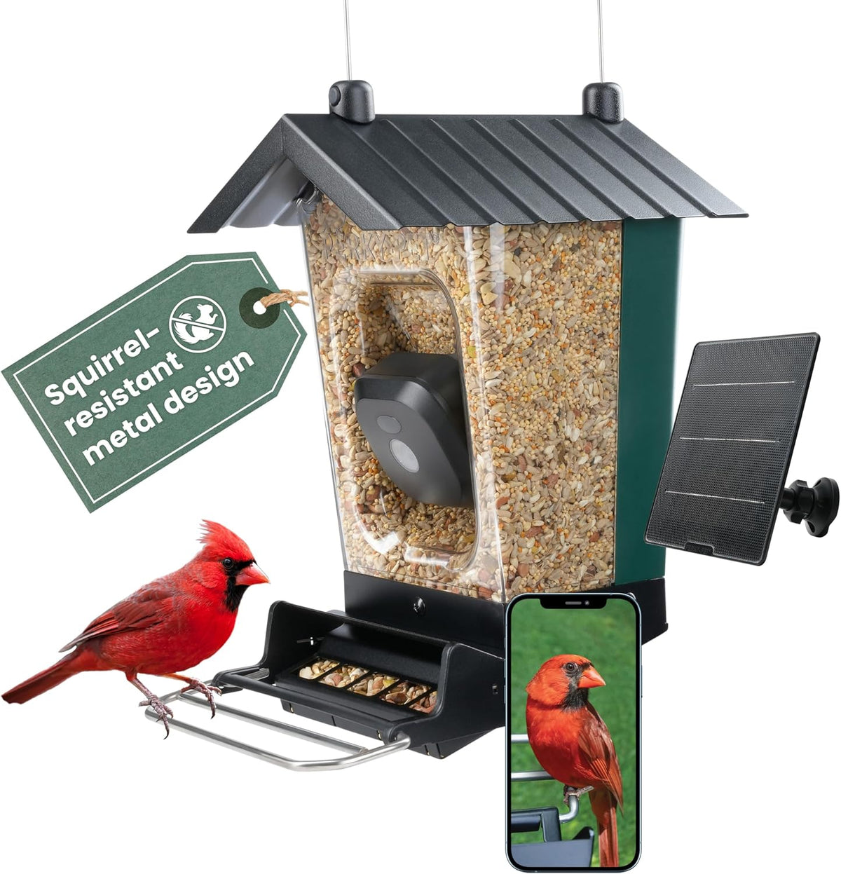 Perky-Pet Solar Powered Smart Bird Feeder with Camera, 3.2L Capacity