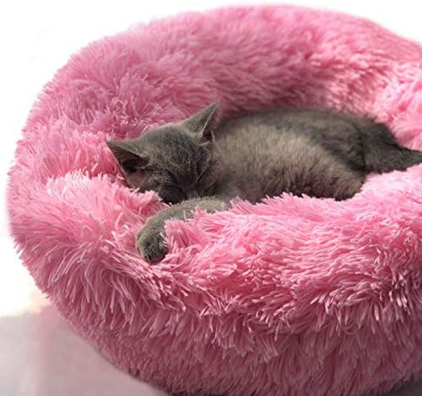 Cat Bed for Indoor Cats,Mini Plush Self Warming Kitten Bed, 20 Inch