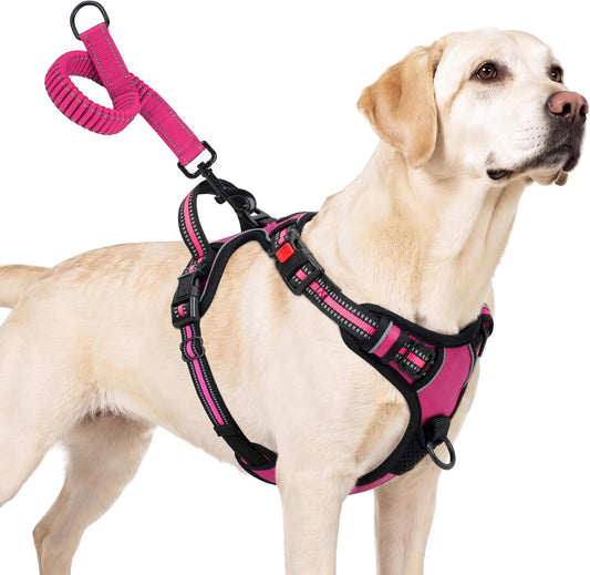 Taglory No Pull Dog Harness for Large Dogs, Bungee Extension, Hot Pink, L