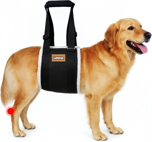 Dog Lift Harness – Adjustable Sling for Large Dogs Hind Leg Support – Comfortable Dog Support Harness for Back Legs – Recovery Sling for Dogs Elderly or Injured (Small (S))