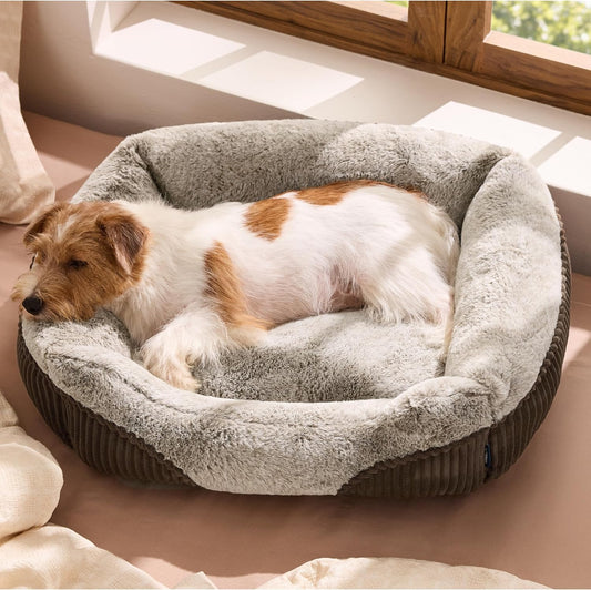Bedsure Washable Dog Bed Small Medium Size Dog - Rectangle Fluffy Plush Pet Bed Puppy Bed, Comfy Corduroy Fleece and Nonskid Bottom,25X21X7Inches,Suitable for Pet up to 20Lbs,Brown