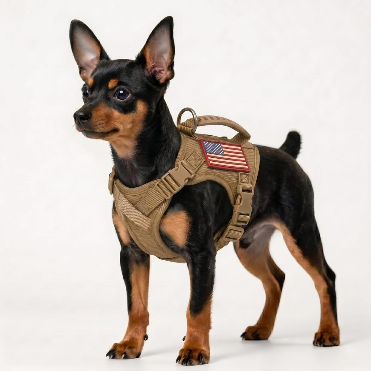 Tactical Dog Harness for Small Dogs, XS Puppy Harness with Handle, No Pull Adjustable Military Vest, Soft Chest Support Pad, D-Ring, Molle Loop Panels, 2 Patches, Khaki
