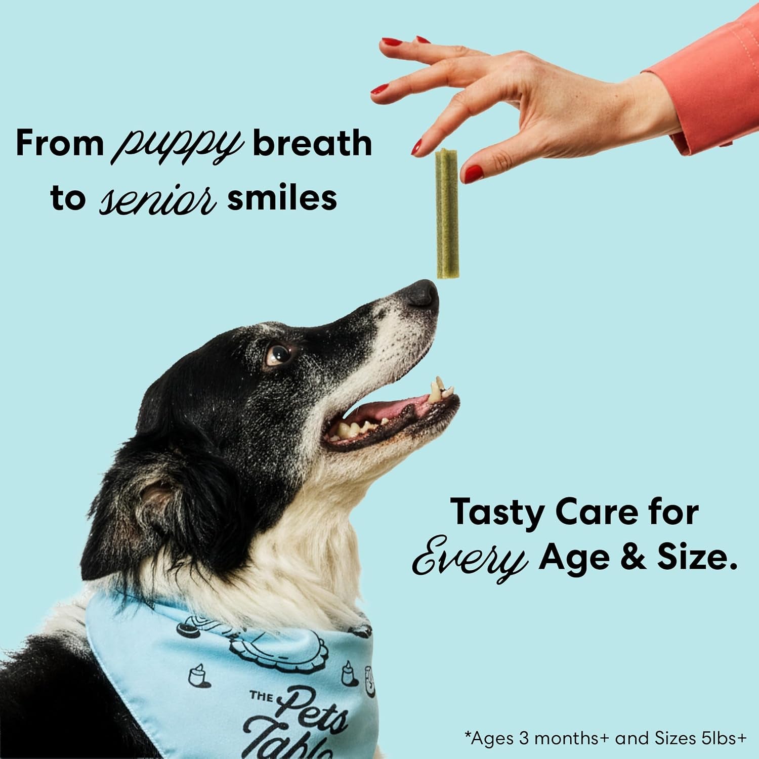 The Pets Table Dental Chews for Dogs 28 Sticks (20 Oz), Chicken, Mint & Parsley | Dental Treats/Teeth Cleaning Chews | Removes Plaque and Tarter | Dental Sticks for Bad Breath Treatment | Dental Bones