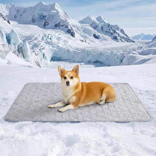 Cozy Bliss Leakproof Cooling Blanket for Medium Dogs – Q-Max 0.5, Durable & Washable Dog Cooling Mat for Hot Weather, Soft Pet Throw & Couch Protector for Dogs & Cats, 30X40 Inch, Heather Silver Grey