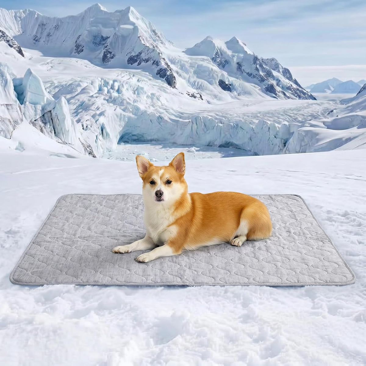 Cozy Bliss Leakproof Cooling Blanket for Medium Dogs – Q-Max 0.5, Durable & Washable Dog Cooling Mat for Hot Weather, Soft Pet Throw & Couch Protector for Dogs & Cats, 30X40 Inch, Heather Silver Grey