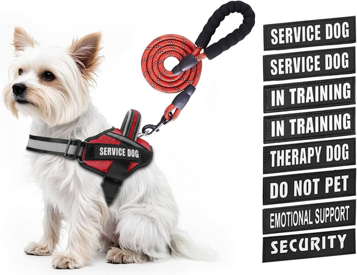 Service Dog Vest Harness and Leash Set, Animire in Training Dog Harness with 10 Dog Patches, Reflective Dog Leash with Soft Padded Handle for Small, Medium, Large, and Extra-Large Dogs