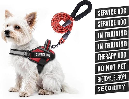Service Dog Vest Harness and Leash Set, Animire in Training Dog Harness with 10 Dog Patches, Reflective Dog Leash with Soft Padded Handle for Small, Medium, Large, and Extra-Large Dogs