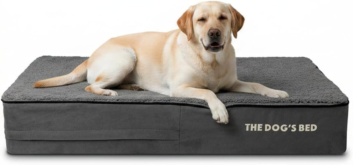 The Dog’S Bed Orthopedic Memory Foam Dog Bed, Waterproof Large 6 Inch Thick