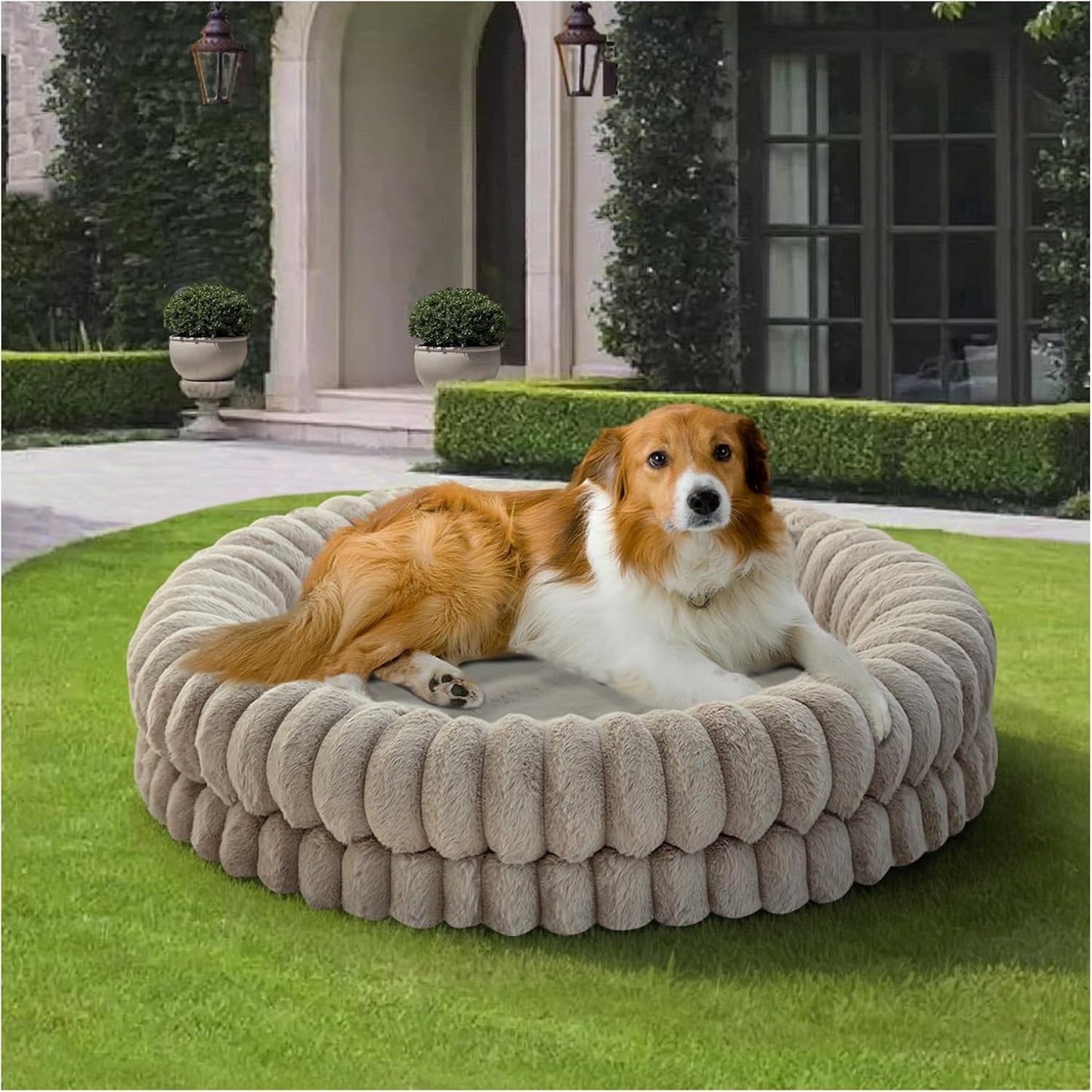 BALANCE Luxury Donut Dog Bed, 36 Inches round Dog Beds Large Sized Dogs Washable, Orthopedic Calming Dogs Bed for Pets with Anti-Slip Bottom, Oatmeal