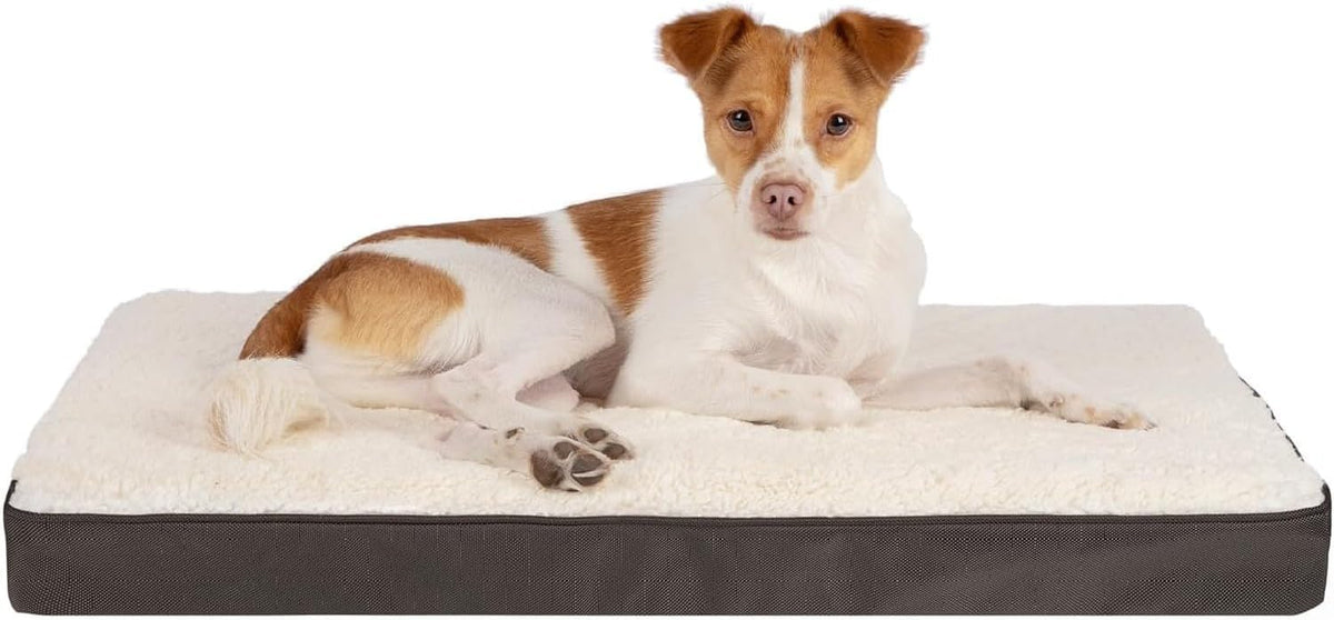 Best Pet Supplies Orthopedic Dog Bed with Memory Foam, Washable Dog Crate Mat for Small, Medium & Large Dogs, Thick Mattress for Crates, Kennels or Floor, Waterproof Pet Bed - Brown, 24 X 16 X 3