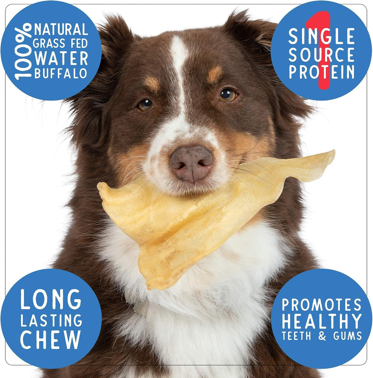 Pet Craft Supply Water Buffalo Ears Dog Chews, Aggressive Chewers, 16 Pack