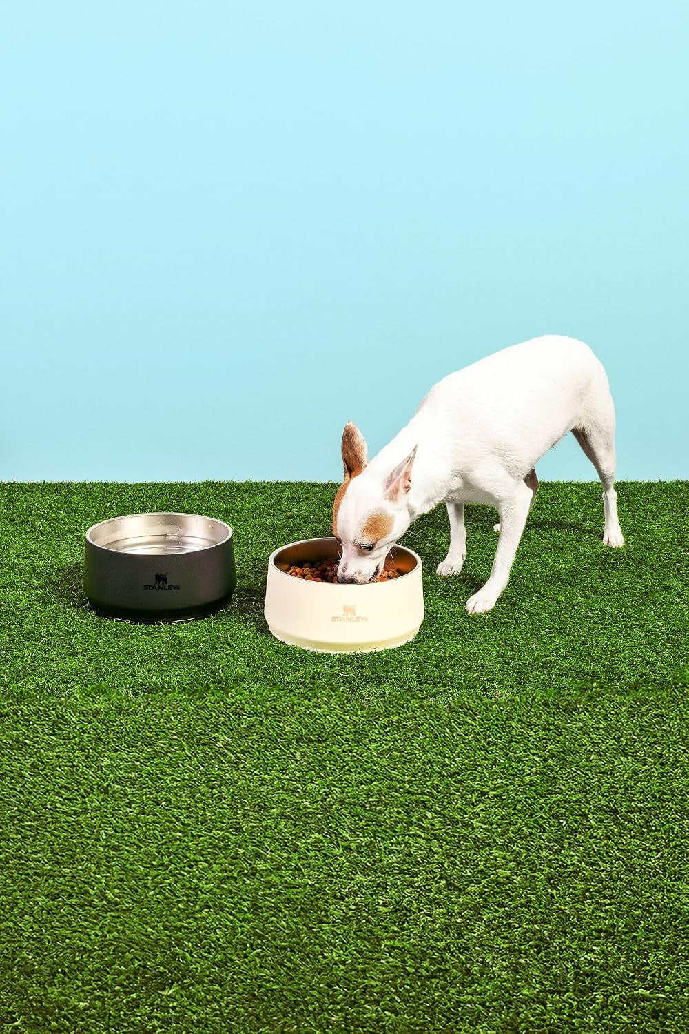 STANLEY Pet Bowl with Lid, 24 Oz (3 Cups), Cream