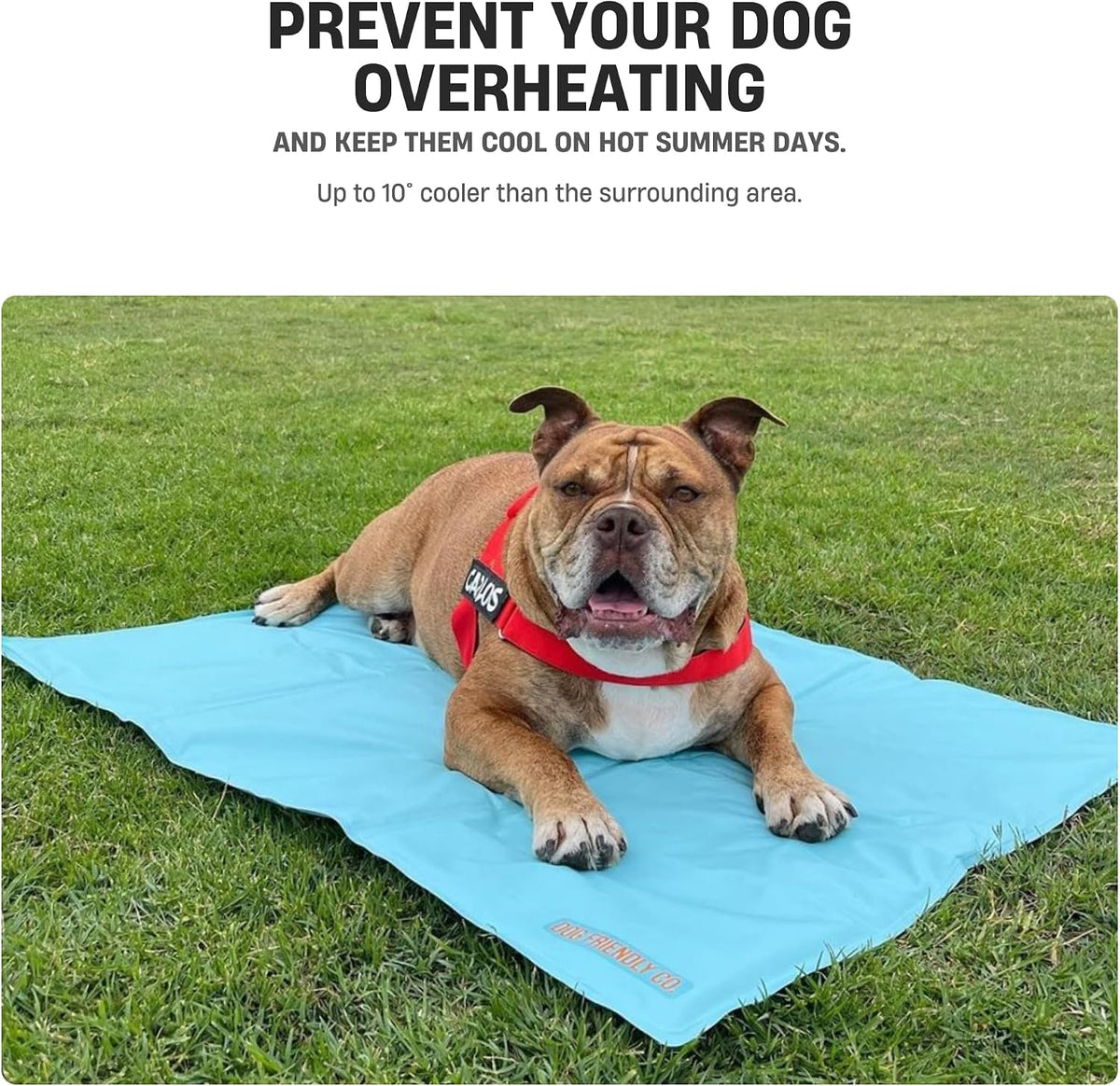 Dog Friendly Co. Dog Cooling Mat for Summer (Small, Sky Blue)