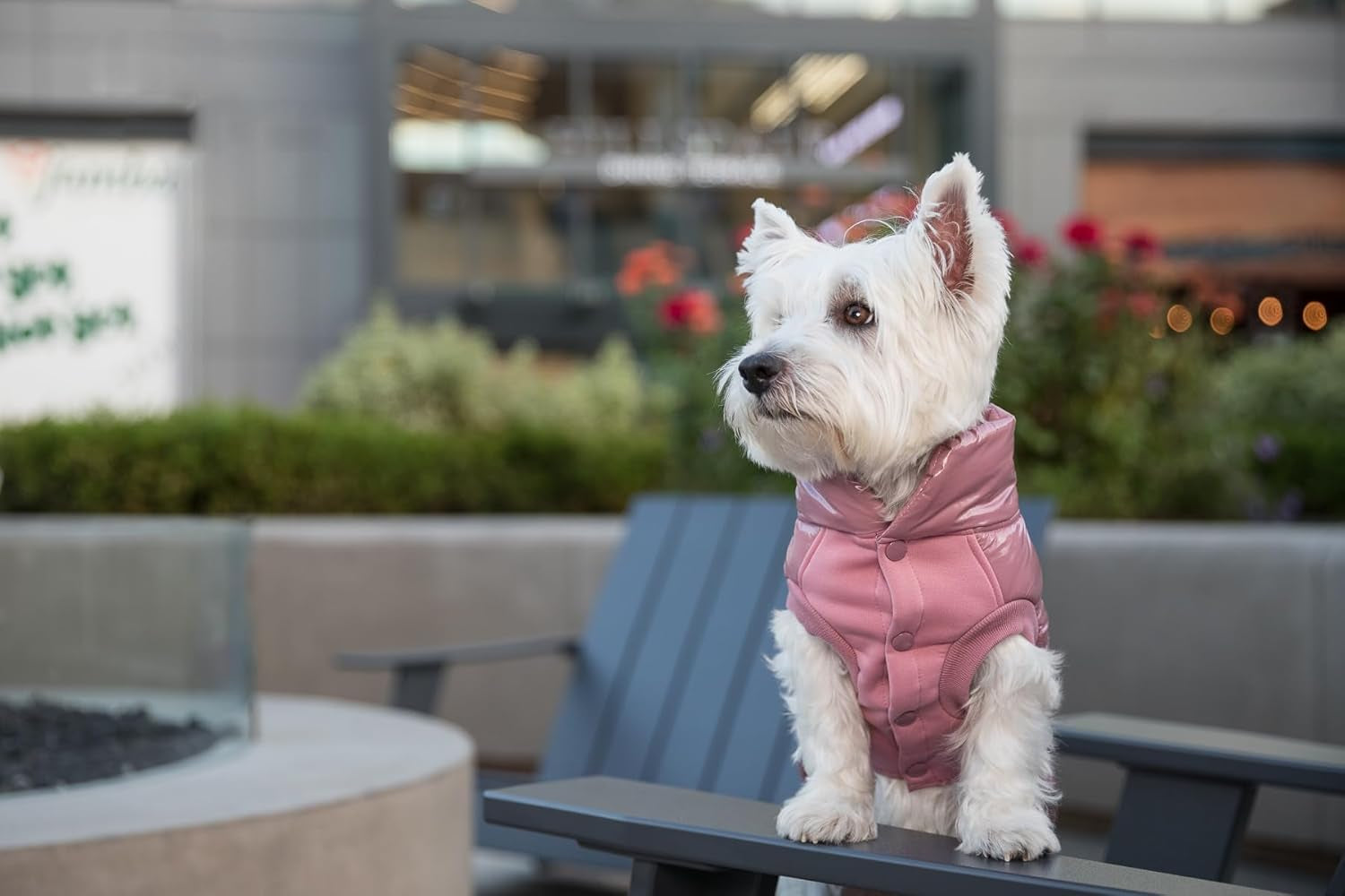 Blueberry Pet Windproof Quilted Winter Jacket – Cozy Mauve Pink Puffer Coat for Medium Dogs, Size 18 (18.5" Back Length), Glossy Warm Outdoor Wear with Easy On/Off Design