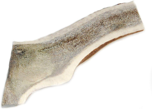 Split Elk Antler Dog Chew, X-Large, Extra Thick, 6 Inches to 8 Inches - for Large to Extra Large Dogs and Puppies - Big Dog Antler Chews Brand