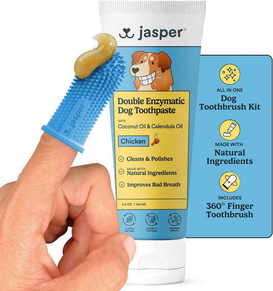 Jasper 360 Dog Tooth Brushing Kit and Dog Toothpaste (Chicken) Kit