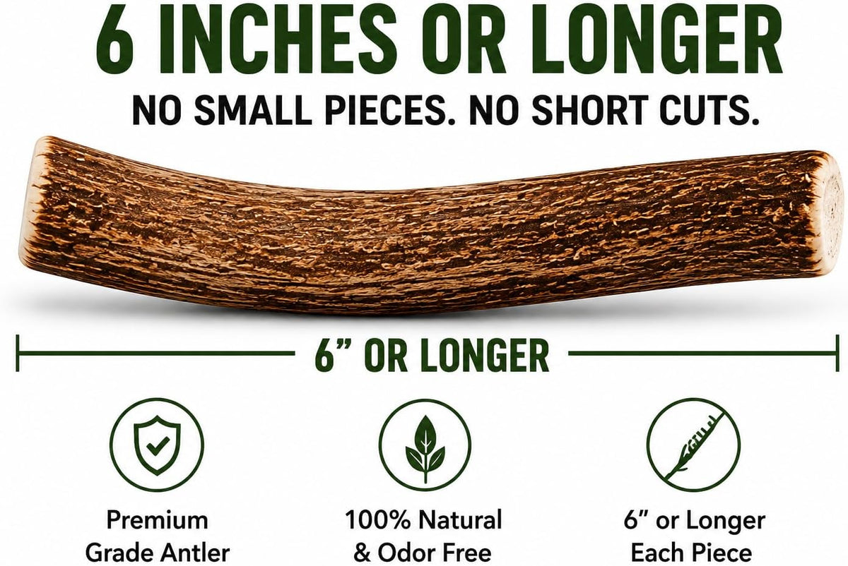 Premium Deer Antler Pieces - Dog Chews - Antlers by the Pound, One Pound - Six Inches or Longer - Medium, Large and XL - Happy Dog Guarantee!
