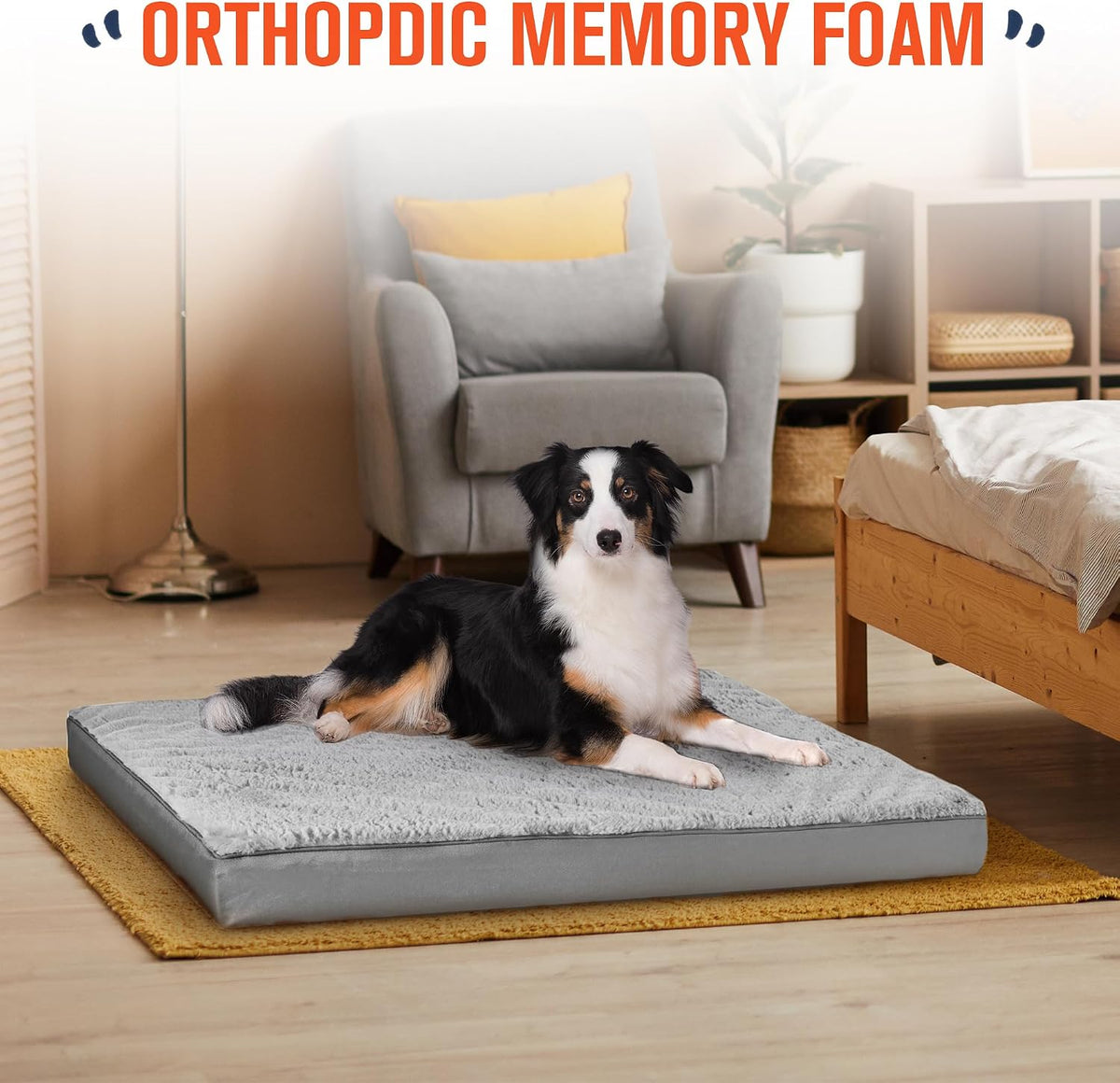 Simple Trending Orthopedic Dog Bed for Large Dogs with Removable Cover
