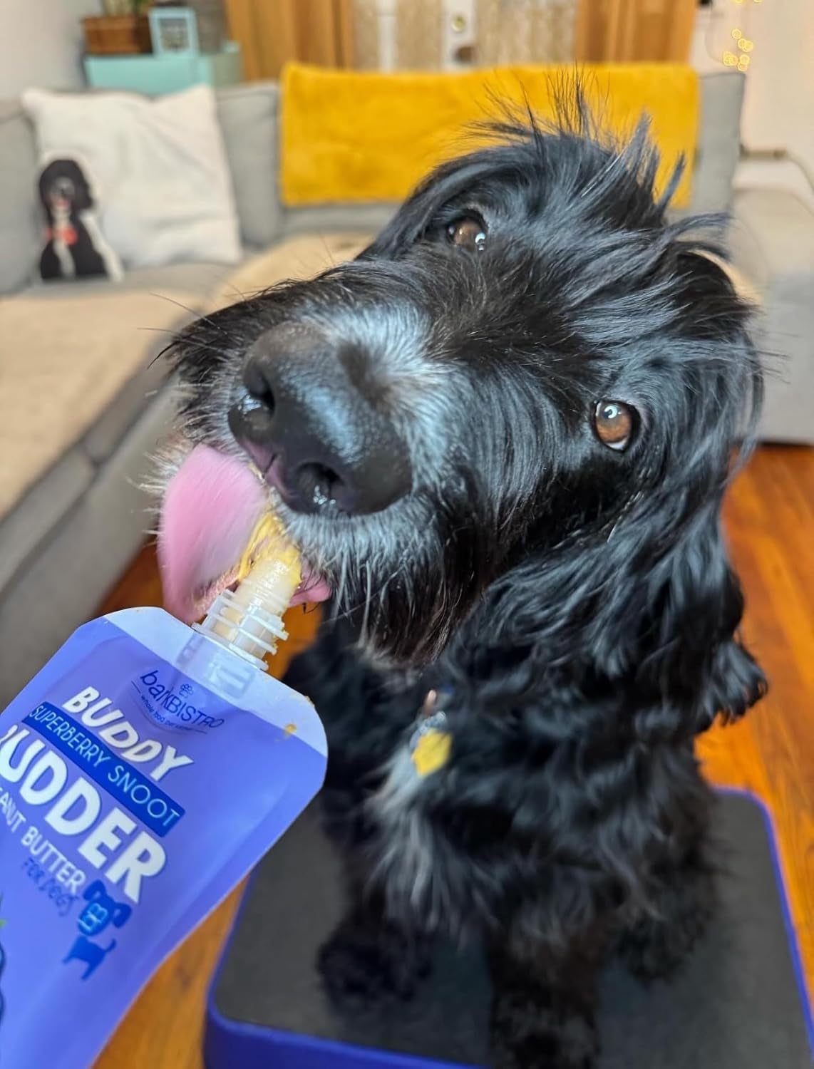 BUDDY BUDDER 6 Pack Mixed Flavor Squeeze Packs, 100% Natural Dog Peanut Butter, Healthy Peanut Butter Dog Treats, Made in USA, (4Oz Packs)