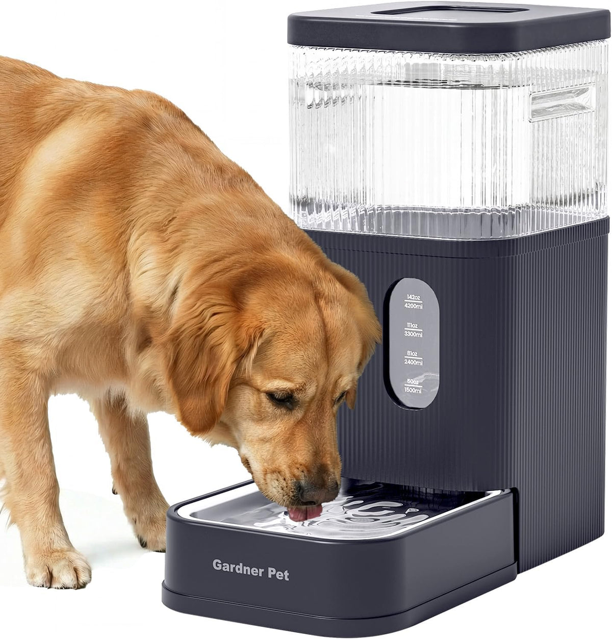 2.9 Gallon Automatic Dog Water Dispenser with Stainless Steel Bowl
