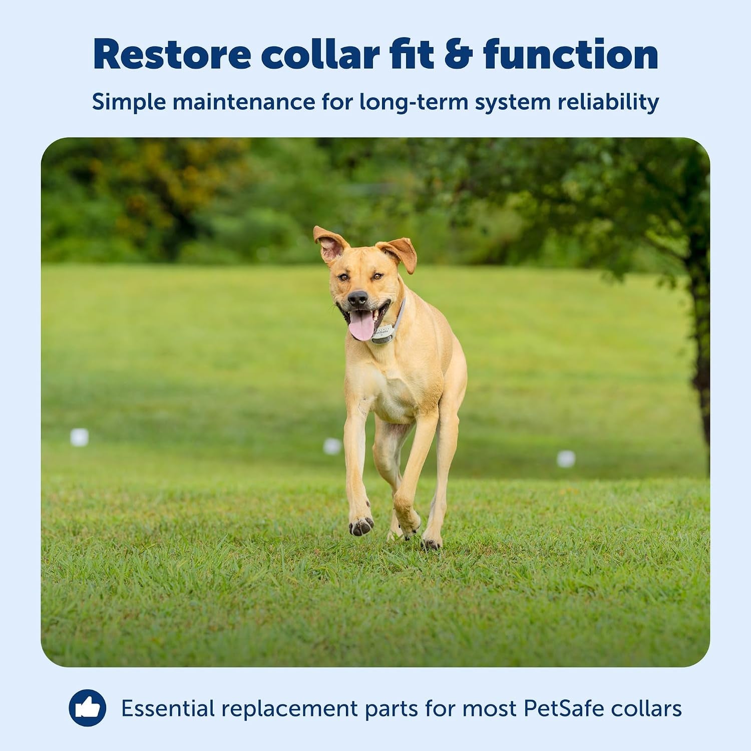 Petsafe Replacement Collar Accessory Kit for In-Ground & Wireless Dog Receiver Collars - Includes Short & Long Contact Points, Level Covers, Hardware from the Parent Company of Invisible Fence Brand
