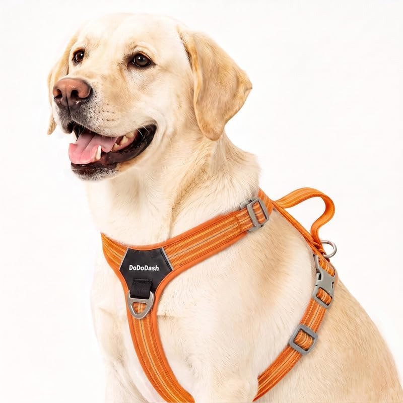 No Pull Dog Harness, Quick Buckle, Seatbelt Compatible, Orange, M