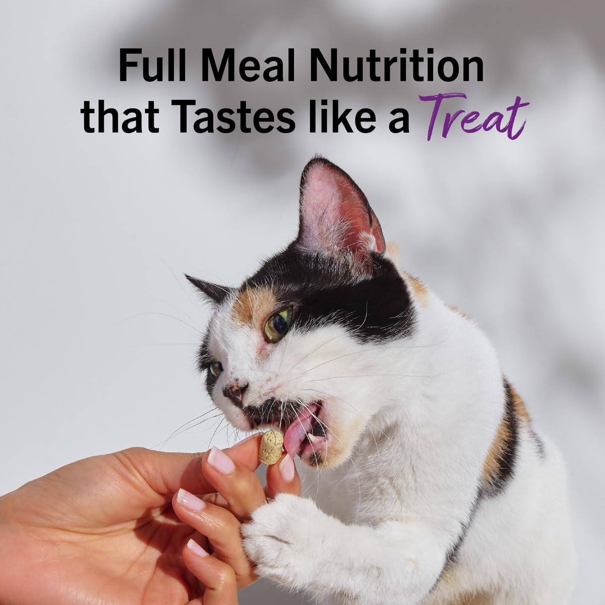 Stella & Chewy'S Freeze-Dried Raw Cat Dinner Morsels - Premium Chicken Recipe with 98% Cage-Free Meat & Organs - Natural Grain-Free Cat & Kitten Food - Made in USA - 3.5 Oz