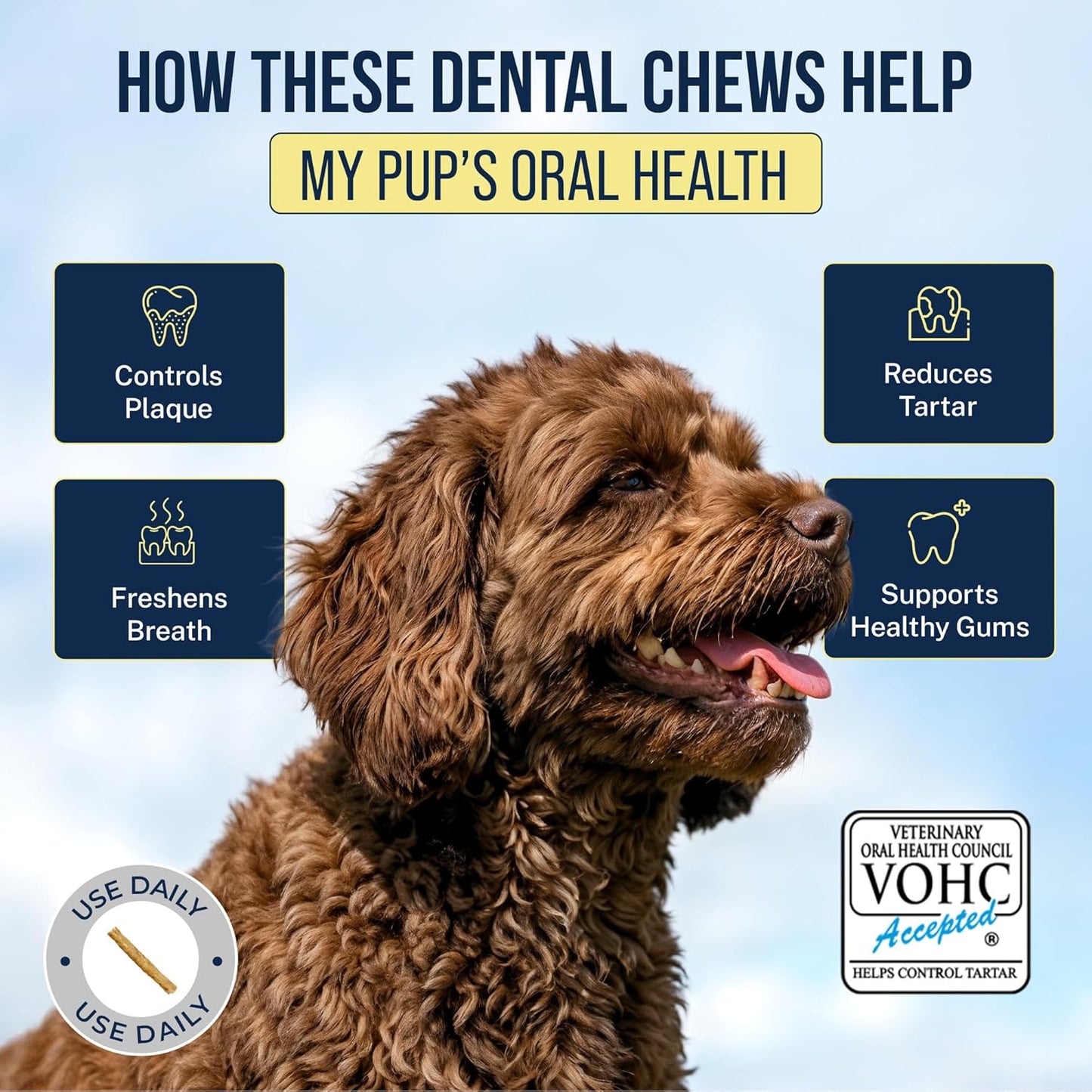 Tartar Shield® Soft Rawhide Dental Chews for Small Dogs | VOHC Accepted | Reduces Tartar, Controls Plaque & Freshens Breath | Vet Recommended | Bacon Flavor | USA Made | 12 Count