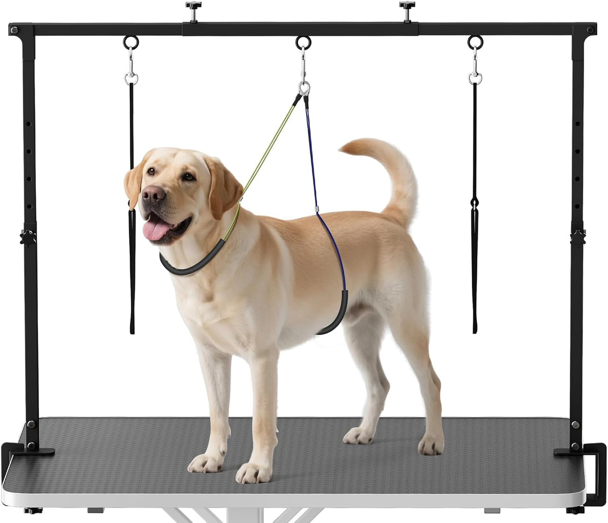 Dog Grooming Arm with Clamp for Large Dog, Adjustable Height to 33In and Width to 43In, Pet Grooming Table Arm with 2 Loop Noose & 2 No Sit Haunch Holder for Home & Store (Table Not Include)