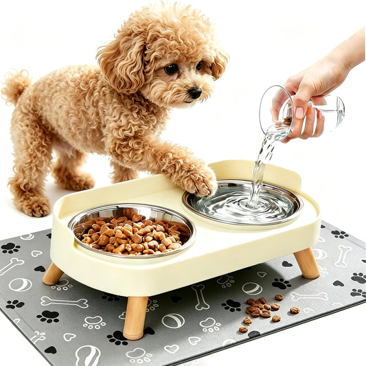 Elevated Dog Bowls with Mat, 2 Stainless Steel for Small Dogs under 25 Lb