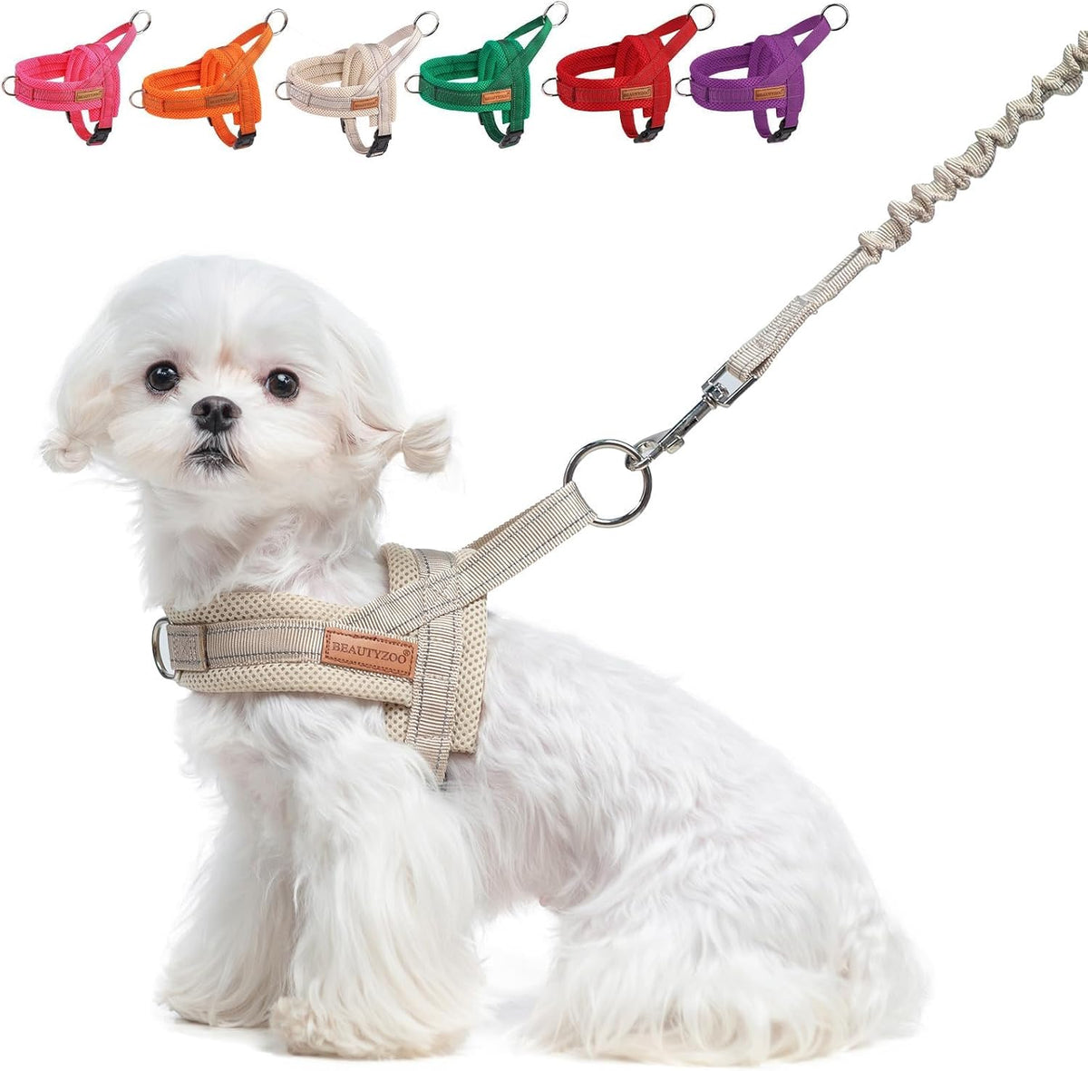 Small Dog Harness and Leash Set, No Pull Step in Puppy Vest