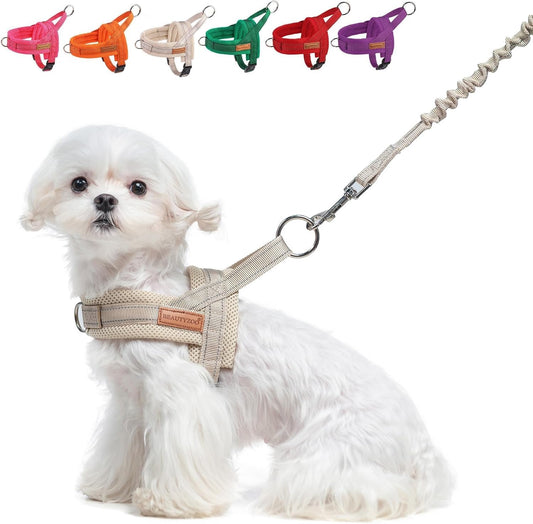 Small Dog Harness and Leash Set, No Pull Step in Puppy Vest