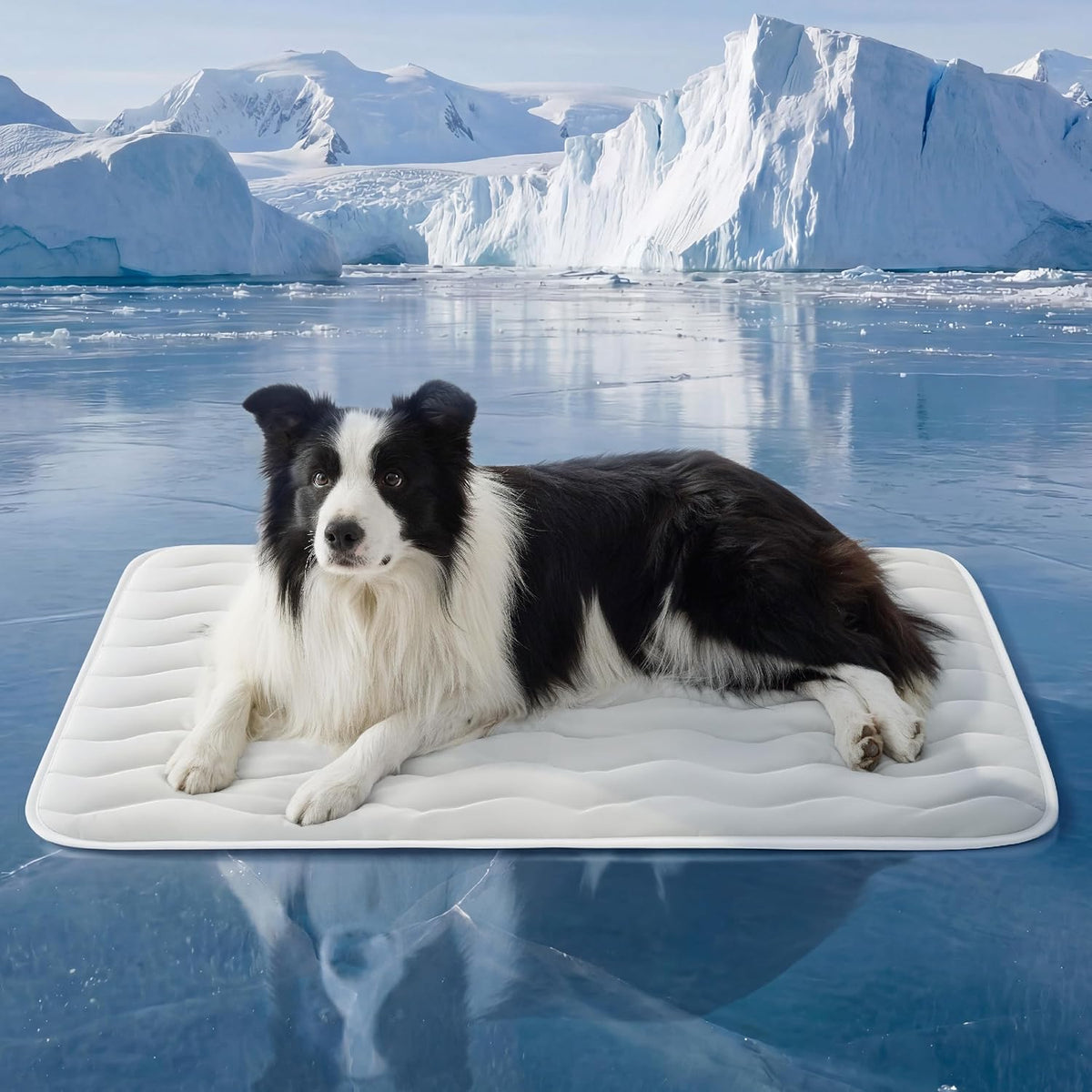 Bedsure Dog Cooling Mat Extra Large,Washable Breathable Qmax>0.4 Cool Fiber