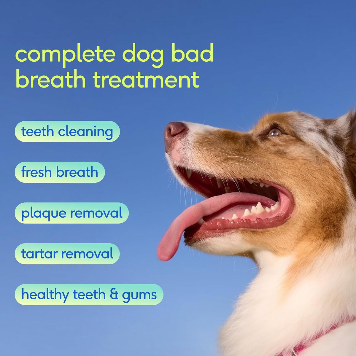 Native Pet Clean Breath Dog Dental Care - Teeth Cleaning for Fresh Breath, Clean Teeth & Healthy Gums - Tartar and Plaque Remover - Dog Breath Freshener - 60 Scoops