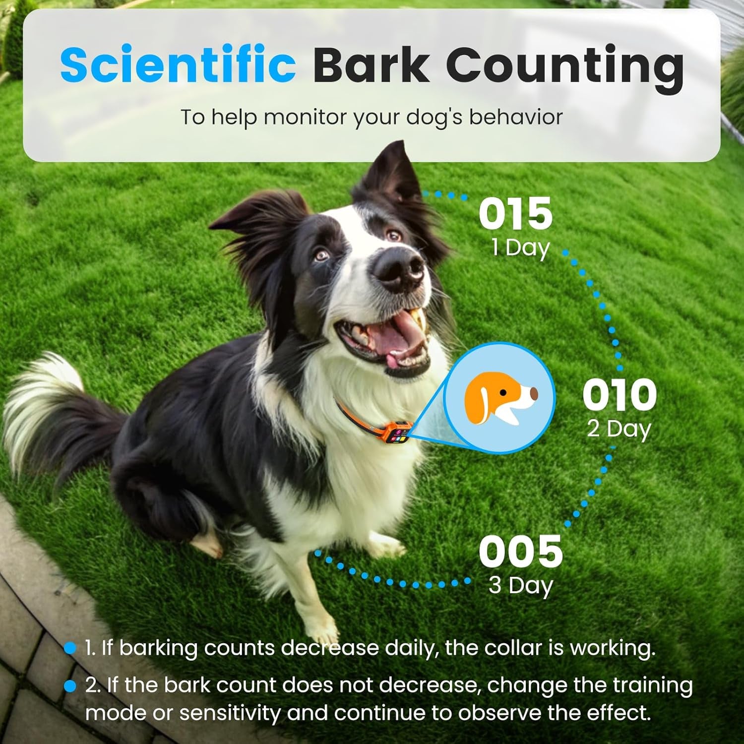 Smart Dog Bark Collar - anti Barking Device for Large Medium Small Dogs, Stop Excessive Barking & Aggression Behavior, with 5 Modes & 5 Sensitivity, IP67 Waterproof for Indoor/Outdoor Use, Orange