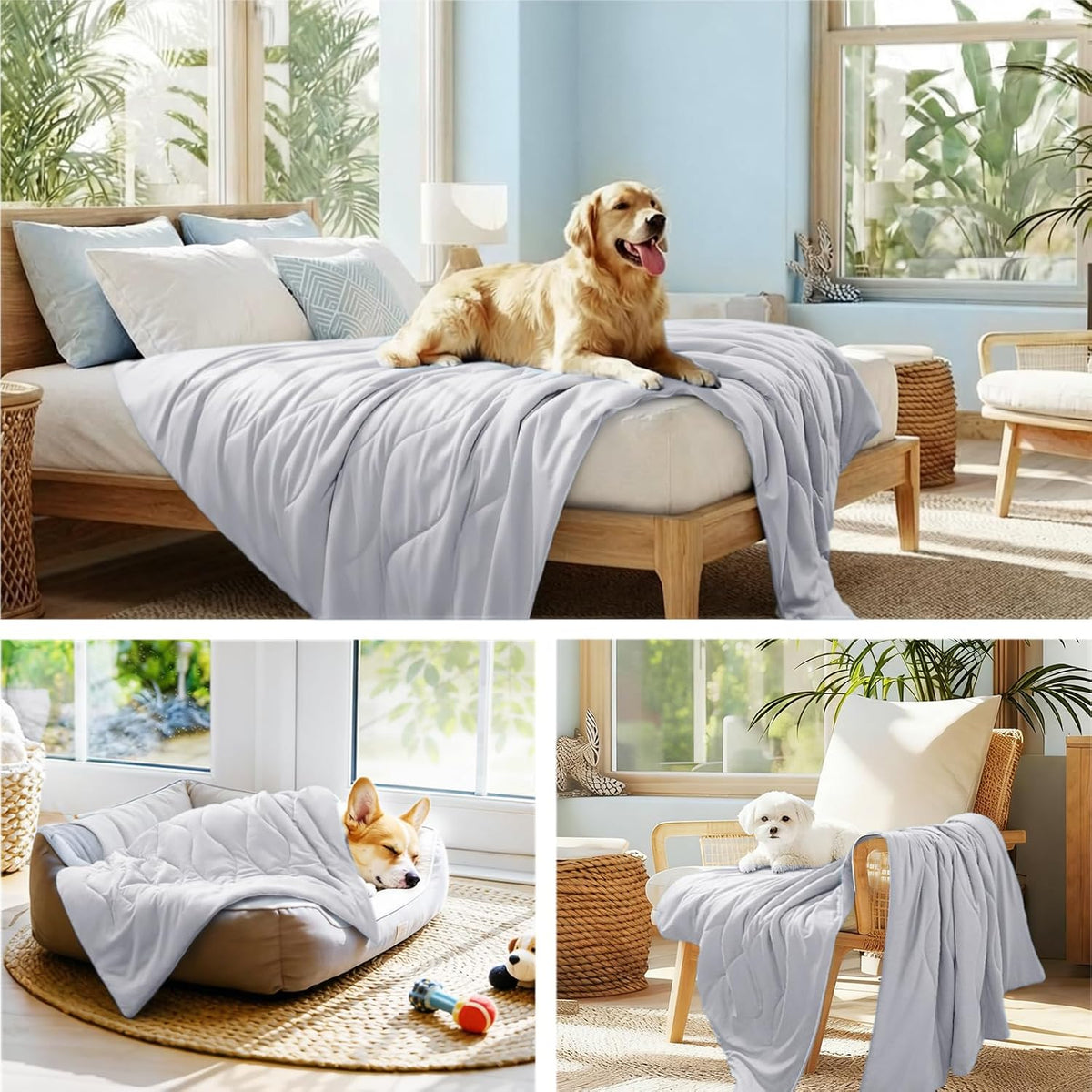 Luciphia Cooling Dog Blanket, Q-MAX>0.5 Pet Throw for Couch, Crate & Bed