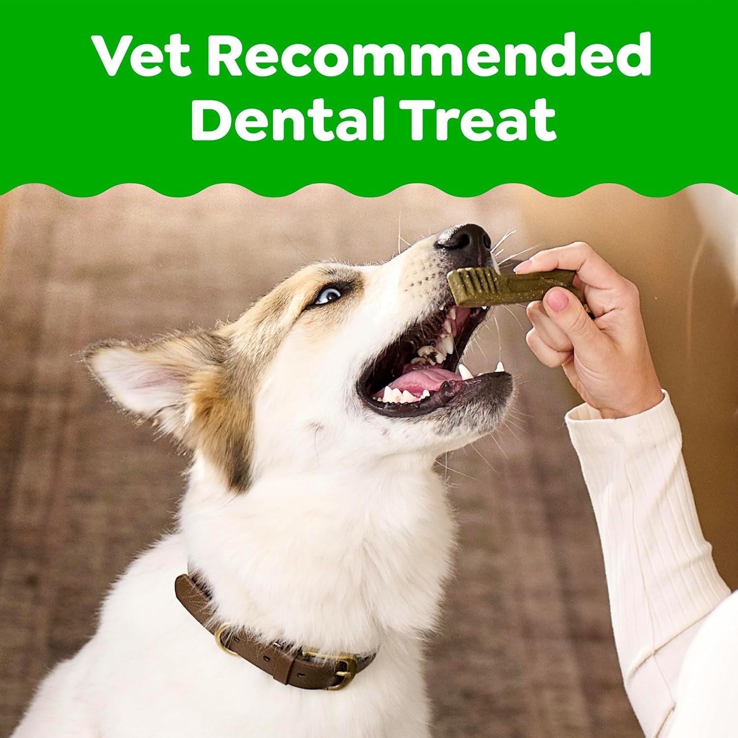 Greenies Veterinarian-Recommended Adult Natural Dental Dog Treats Petite Size, Dog Dental Chews, Original Flavor, 54 Oz. Pack, 90 Count