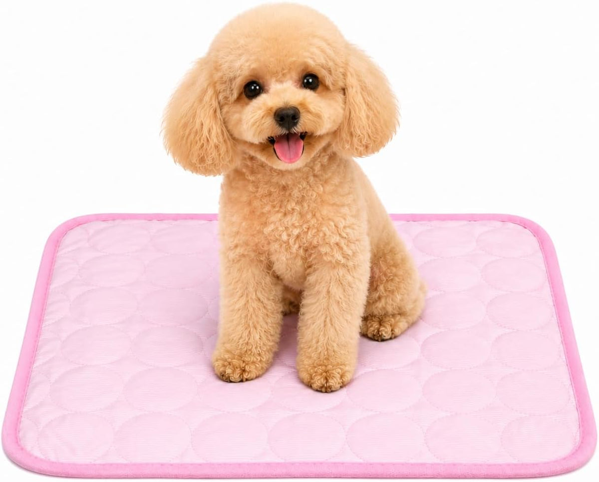 Dog Ice Mat 16X12 In, Pet Cooling Pad for Cats Small Summer Bed