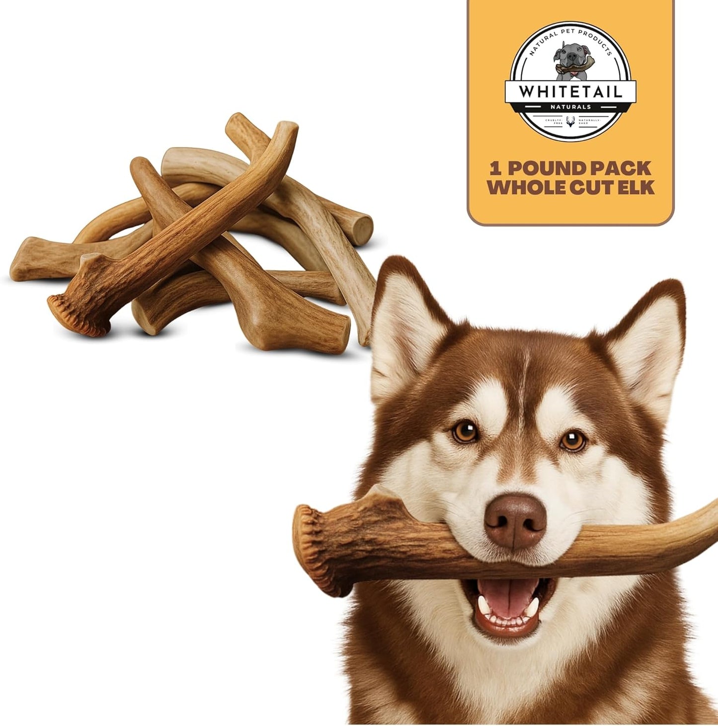 Whitetail Naturals Deer Antlers for Dogs (1 Lb Bulk Pack) Premium Antler Chews for Medium to Large Dogs – Grade A, Wild Sourced & Naturally Shed (Approx. 4-5 Count)
