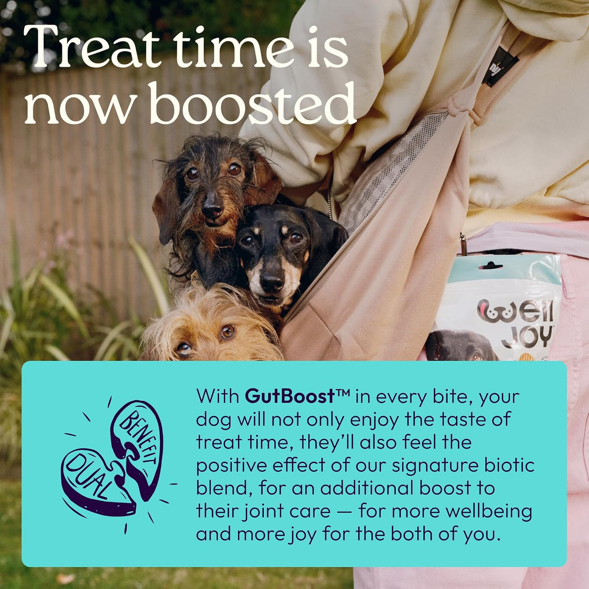 Welljoy Joint Dog Treat + Glucosamine, Chondroitin, Gutboost, 30Ct