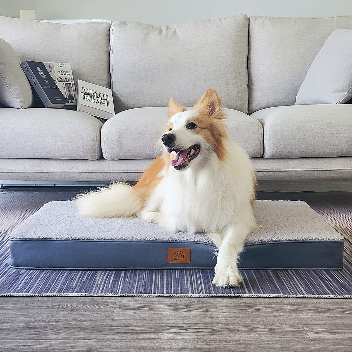 Sunheir Washable Orthopedic Large Dog Bed with Removable Cover, Pet Bed Mat