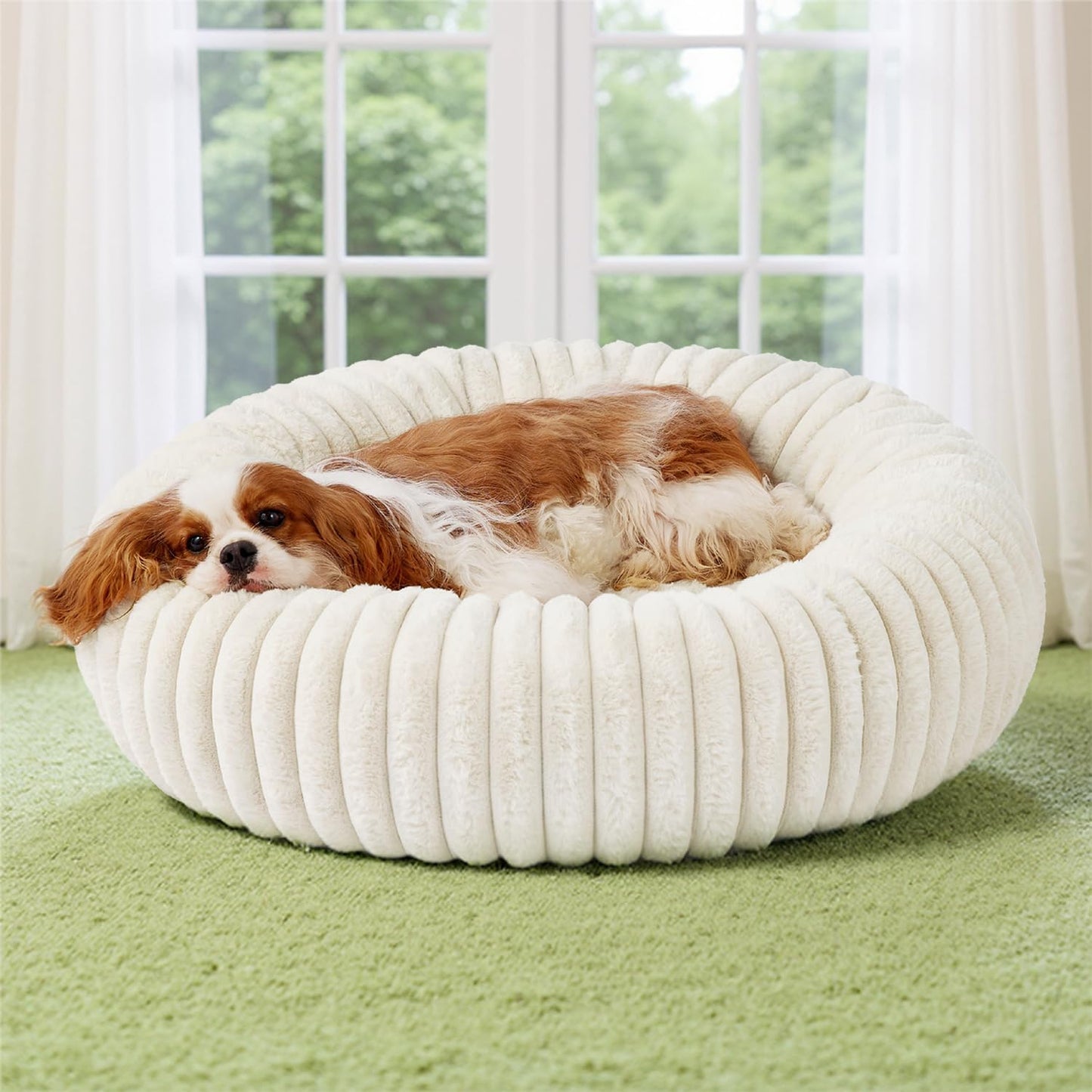 Bedsure Donut Medium Dog Bed 30X30X8 Inches with Waterproof Dog Blankets for Medium Dogs 30"X40", Cream